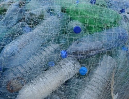Global Plastics Trade Tops $1.1 Trillion as Pollution Crisis Deepens