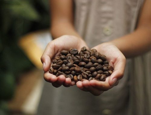 EU Coffee Price Inflation Slows in March 2024