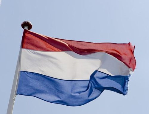 Business Confidence in the Netherlands Improves Slightly in Q3 2025 Amid Sectoral Divergence